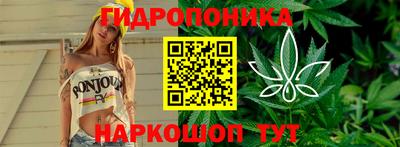эйфоретик Будённовск