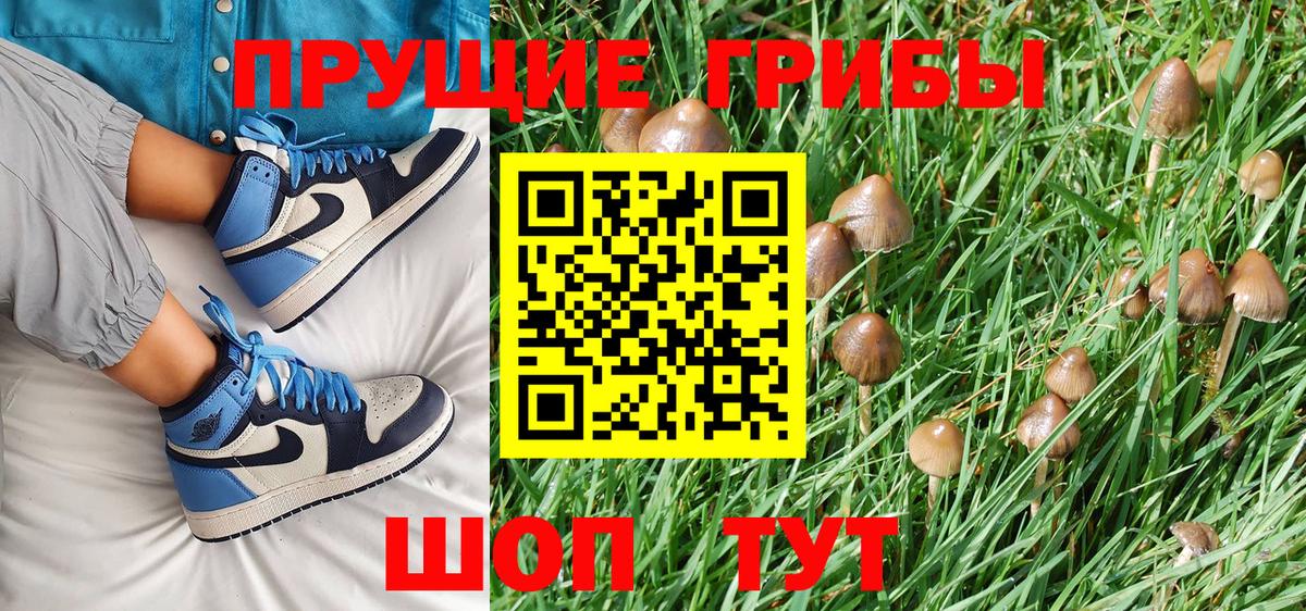 Галлюциногенные грибы MAGIC MUSHROOMS Новый Уренгой