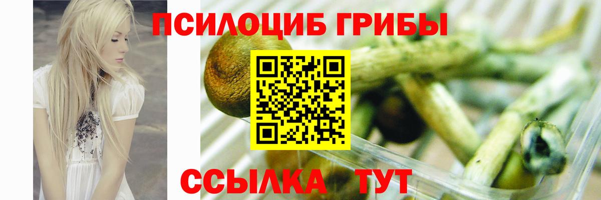 Псилоцибиновые грибы Psilocybe  Вход с VPN  Новый Уренгой 